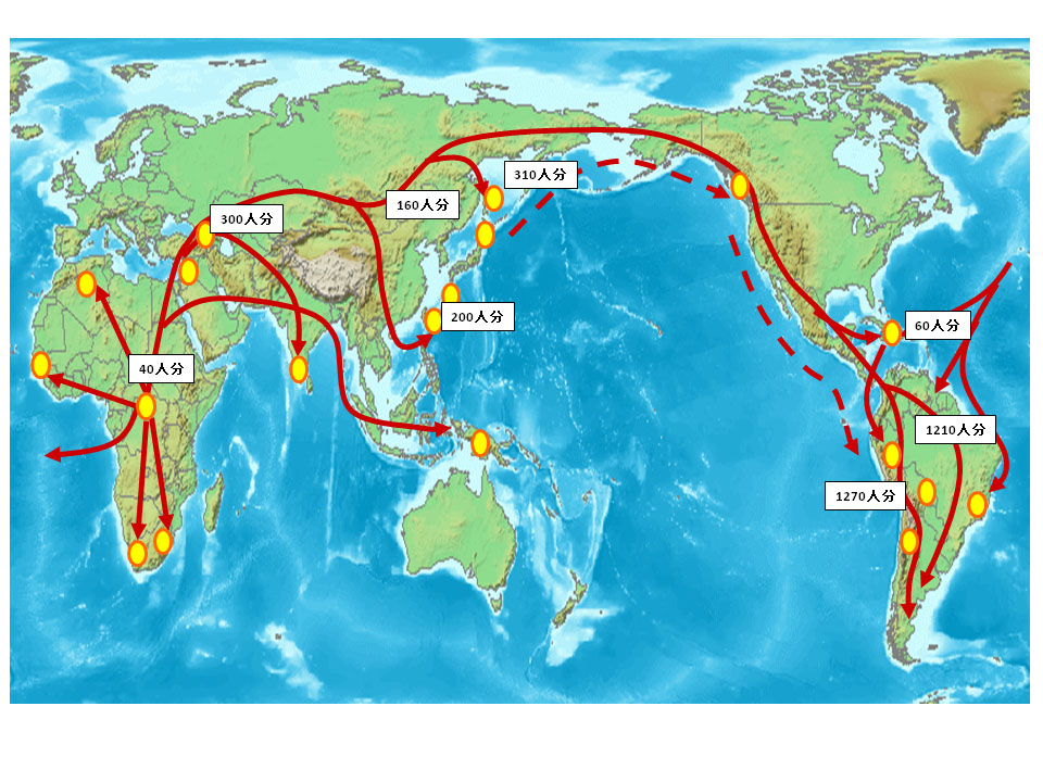 図）人類の移動経路と、園田・田島コレクション検体の採取地域および検体数